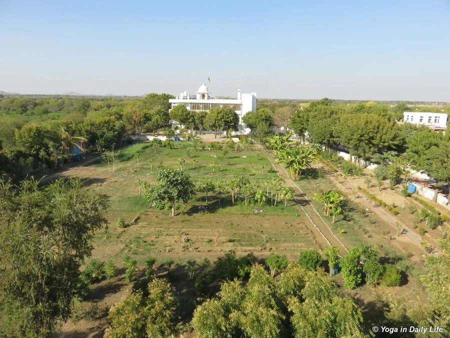 Aerial view of Shiv Bagh after the big clean up